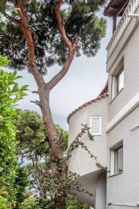 a11d2f24 2732 4b52 a774 209d073cde0e